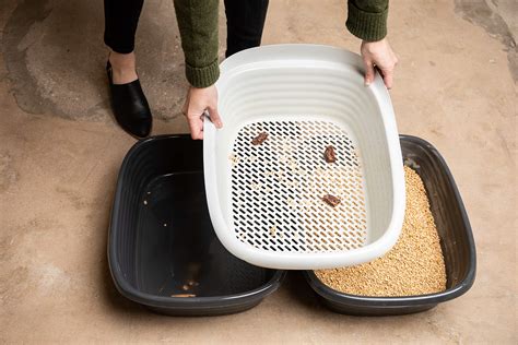 diy stainless steel steamer pan sifting cat litter box|diy sifting litter box.